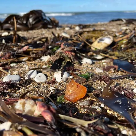 Beautiful Close To And Nature ハンストホルム